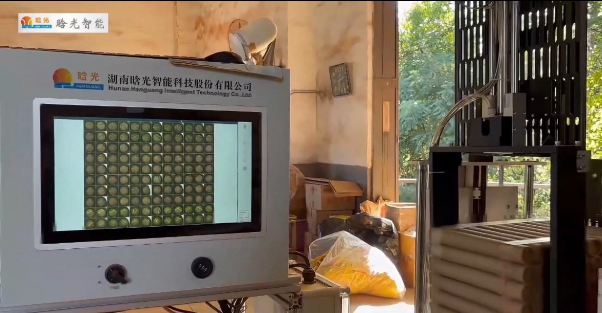 紙管煙花坨檢測